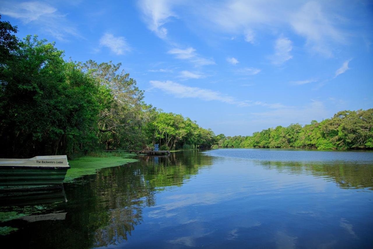 The Backwaters Lodge วิลปัตตู ภายนอก รูปภาพ