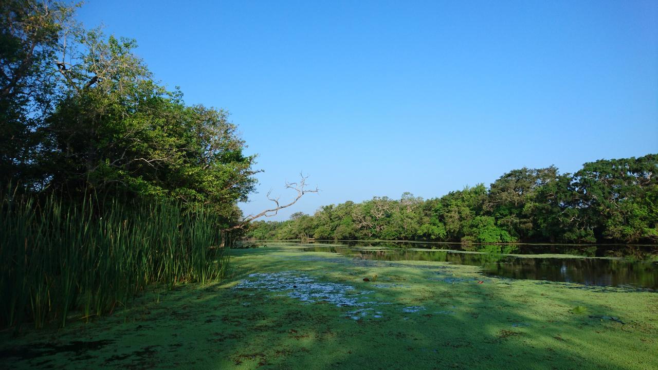 The Backwaters Lodge วิลปัตตู ภายนอก รูปภาพ